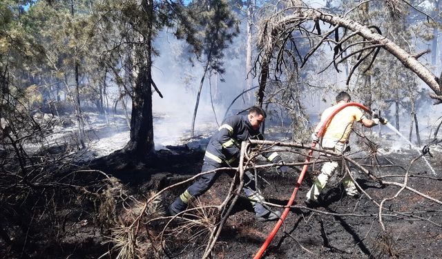 Bolu’da 3 köy arasındaki ormanda yangın çıktı! Ekipler seferber oldu