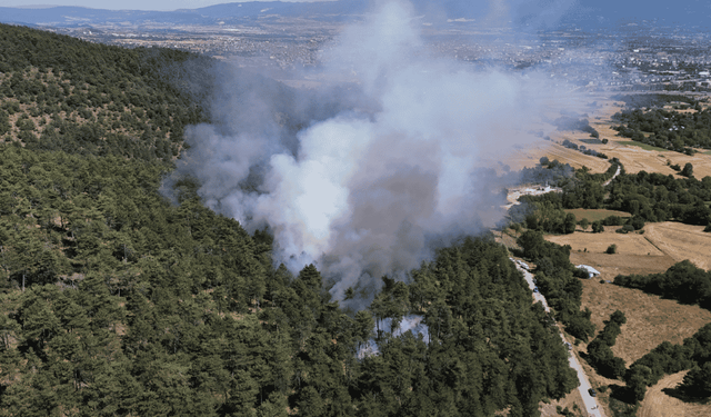 Bolu’da orman yangını! Havadan görüntülendi