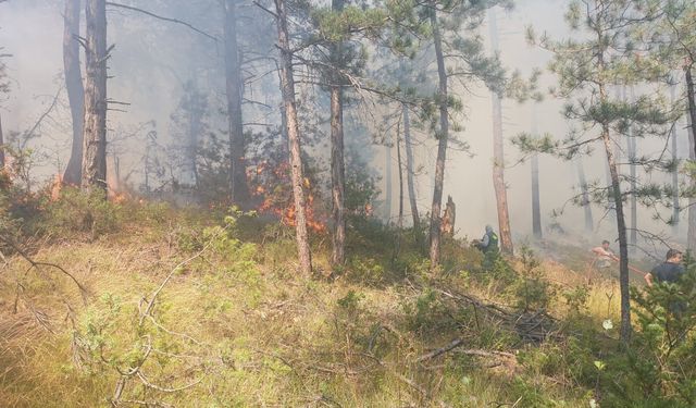Bolu’da orman yangını! Kürkçüler TOKİ üzerinde dumanlar yükseldi