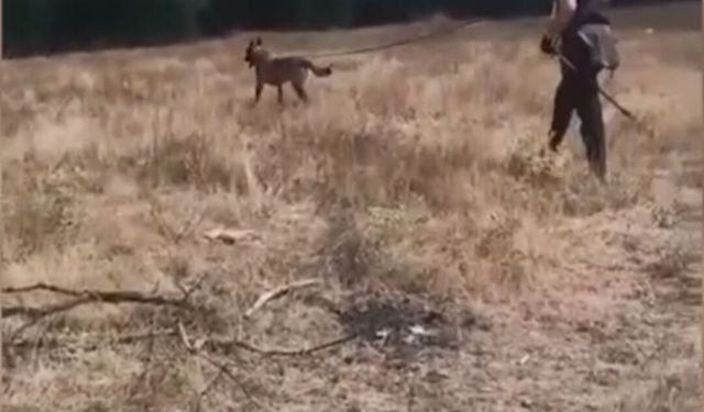 Bolu’da kayıp Alzheimer hastası aranıyor