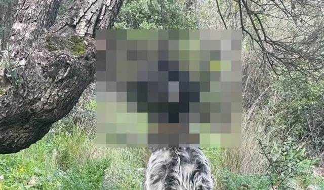 Mezarlıkta bir kişi ölü bulundu