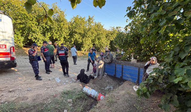 Fındık hasadında facia: 18 kişi yaralandı!