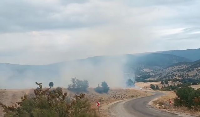 Bolu’da arazi yangını ormanlık alana ulaşmadan söndürüldü