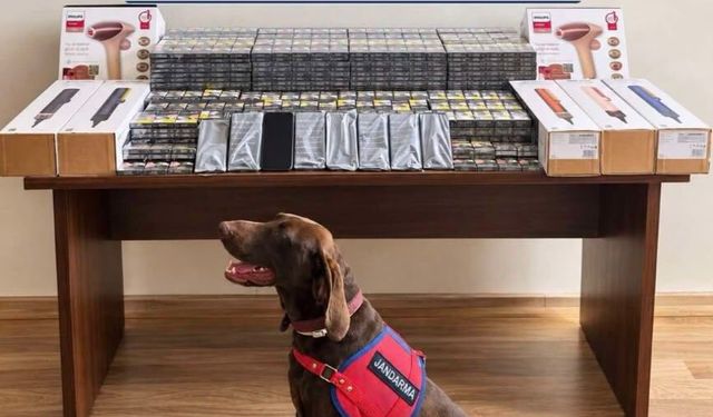 Bolu’da yolcu otobüsünde 450 bin liralık kaçak ürün ele geçirildi