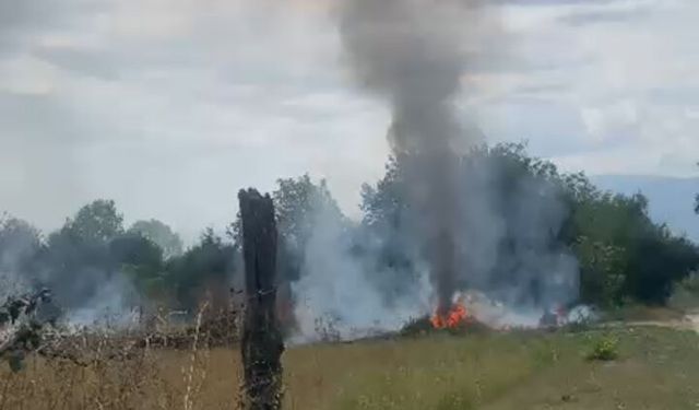 Bolu’da ot yangını başladı!
