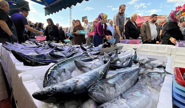 Bolu'daki balıkçılarda palamut kuyruğu başladı!
