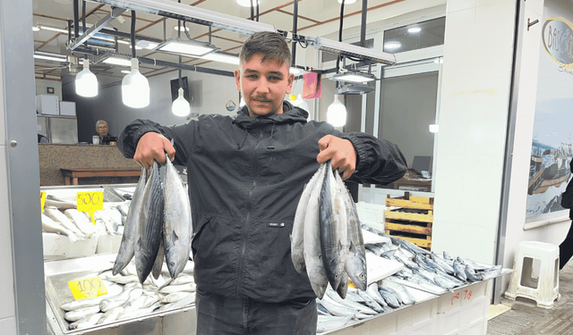 İnanılmaz ama gerçek palamut sadece 50 lira