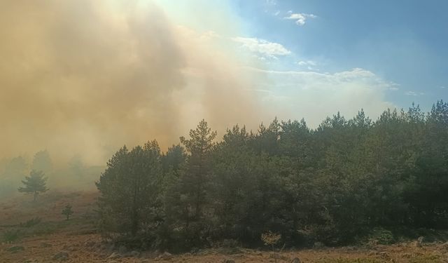 Ot yangını alev topuna dönüştü, ormana sıçradı!