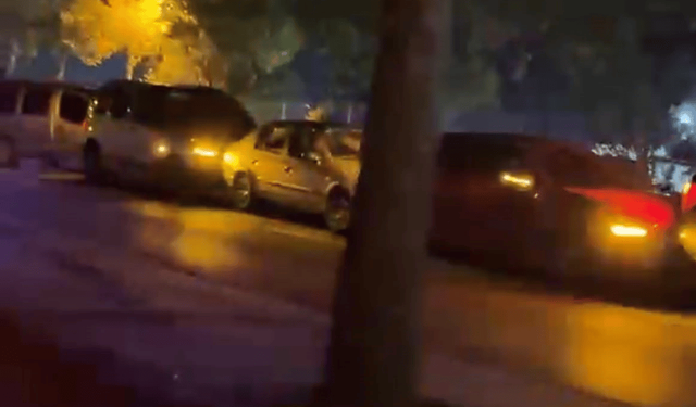 Yola çıkan köpekler zincirleme kazaya neden oldu