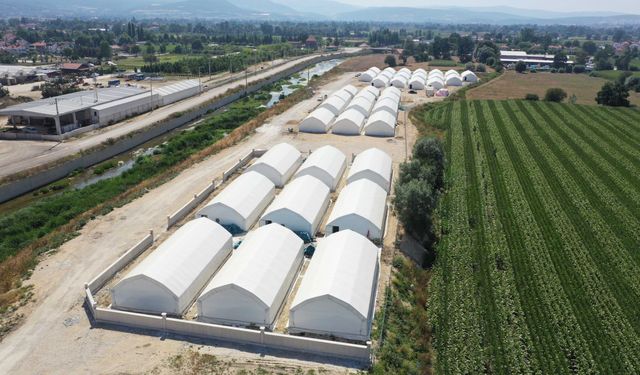 'Zimmet' operasyonunun detayları belli oldu