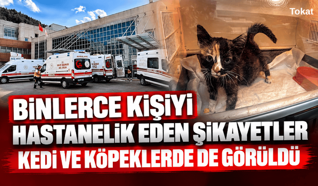 Binlerce kişiyi hastanelik eden şikayetler kedi ve köpeklerde de görüldü