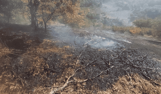 Ot yangını büyümeden söndürüldü