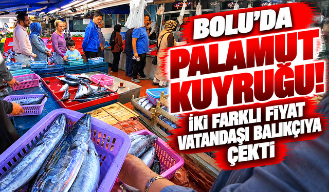 Bolu’da Palamut Kuyruğu! İki Farklı Fiyat Vatandaşı Balıkçıya Çekti