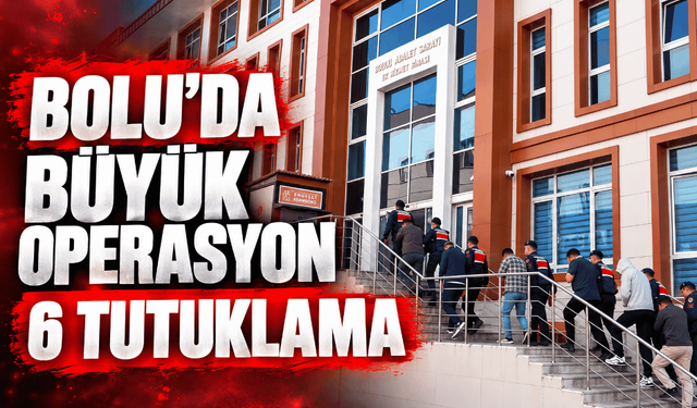 Büyük dolandırıcılık operasyonu 6 tutuklama