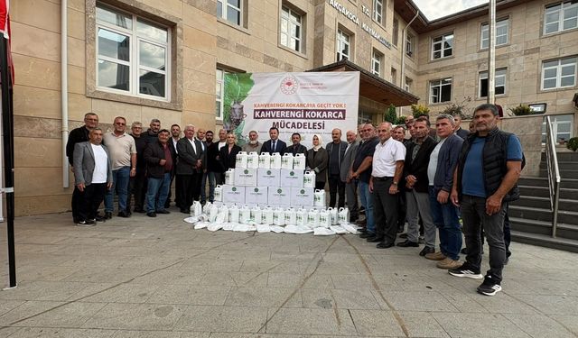 Fındığın korkulu rüyası; ilçede "Kokarca" alarmı verildi!