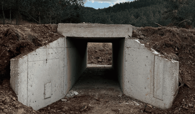 Orman yangınlarına müdahaleyi kolaylaştıracak çalışma