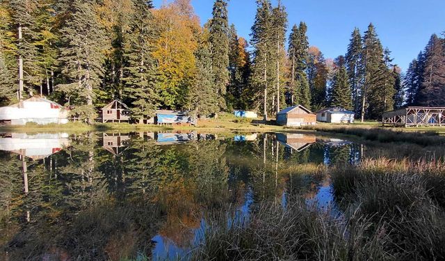 Bolu’nun Pürenli Yaylasında, sonbahar güzelliği yaşanıyor