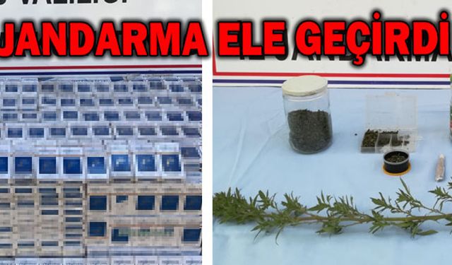 Jandarma operasyonlara devam ediyor
