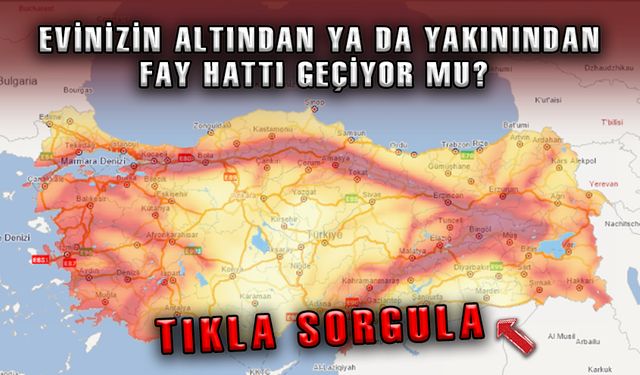 EVİNİZİN ALTINDAN YA DA YAKININDAN FAY HATTI GEÇİYOR MU?