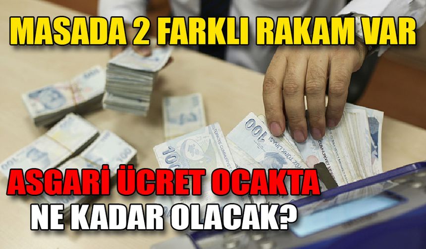 Asgari ücret ocakta ne kadar olacak?