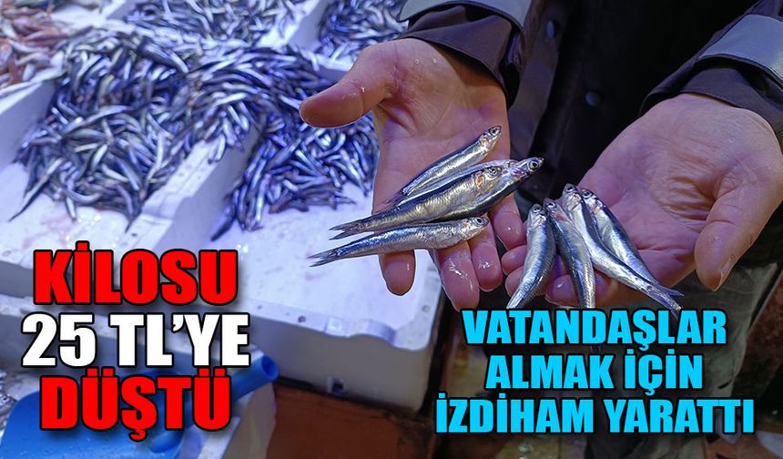 Kilosu 25 TL’ye düşen hamsi kapış kapış gitti