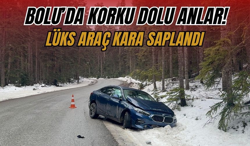 Lüks otomobil kontrolden çıktı, kara saplandı