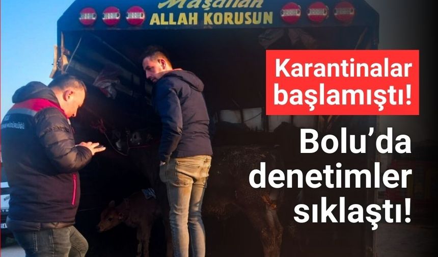 Bolu’da hayvan hastalıklarına karşı denetimler arttırıldı!