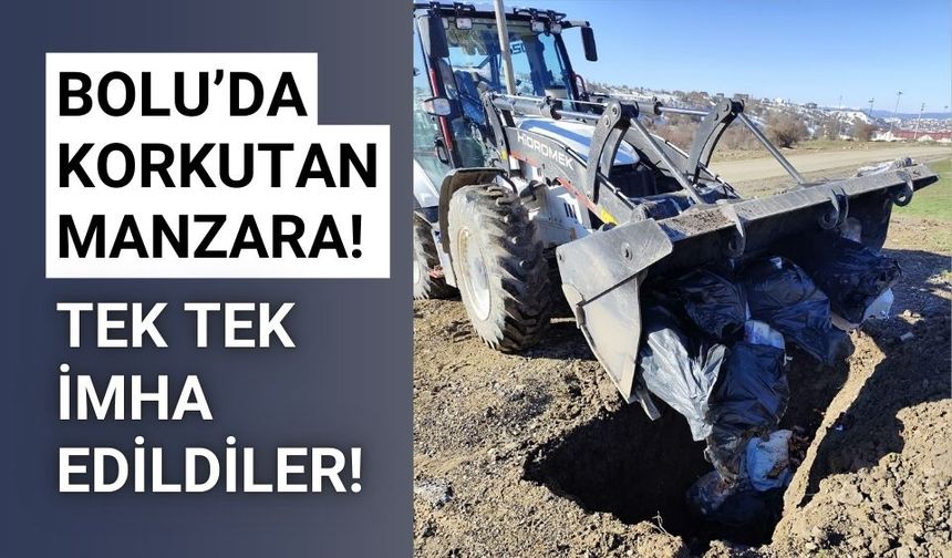 Tarihi geçmiş ürünler, toprağa gömülerek imha edildi