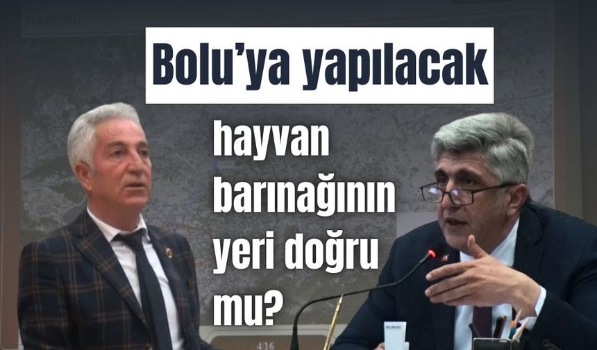 Bolu’ya yapılacak hayvan barınağının yeri doğru mu?