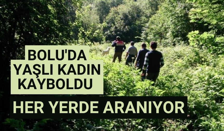 Bolu'da yaşlı kadın kayboldu her yerde aranıyor