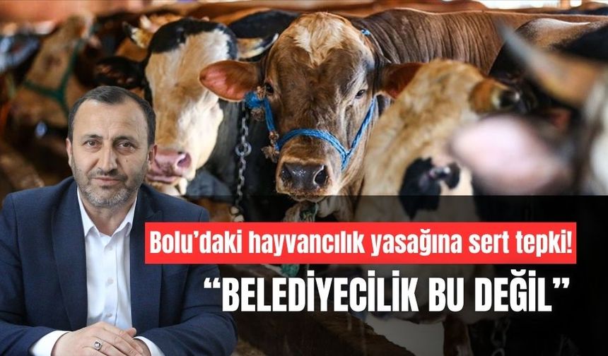 Sadettin Baskın, Bolu’daki hayvan üretimi yasağına tepki gösterdi