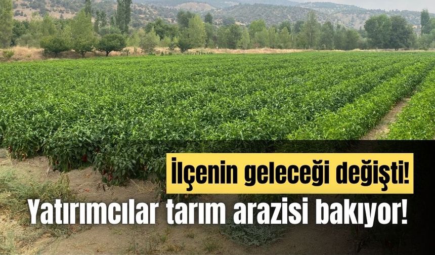 Taşlıyayla Göleti projesi sonrası, ilçede tarım arazisine ilgi arttı!