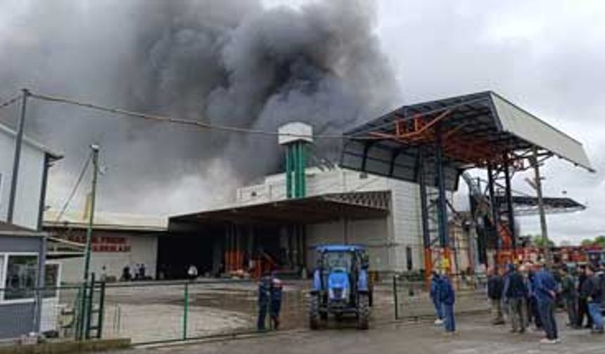 Sakarya'da fabrika yangını