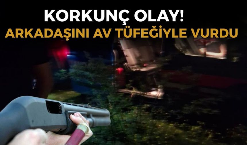 Mantar toplarken yabani hayvan sandığı arkadaşını av tüfeğiyle vurdu