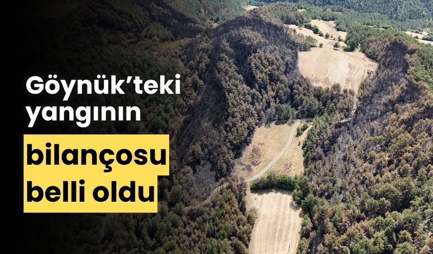 Bolu’daki yangında, 35 hektar orman alanı zarar gördü