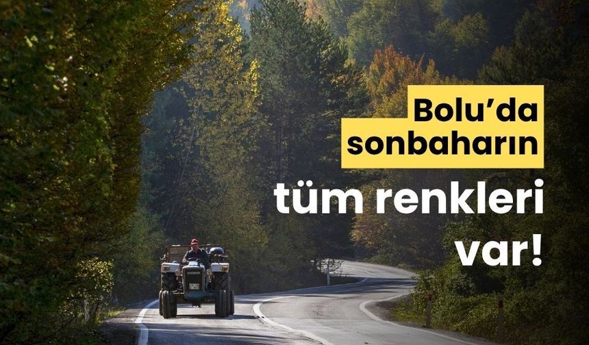 Bolu'da sarı ve yeşilin her tonunu bulmak mümkün
