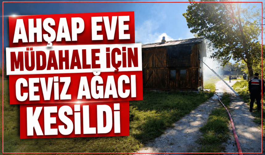 Ahşap eve müdahale için ceviz ağacı kesildi