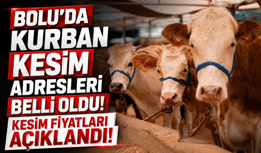 Bolu kurbanlık kesim fiyatı ve adresleri belli oldu