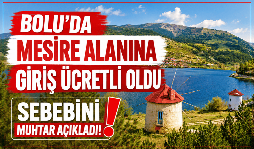 Çubuk Gölü Mesire alanına giriş ücretli oldu