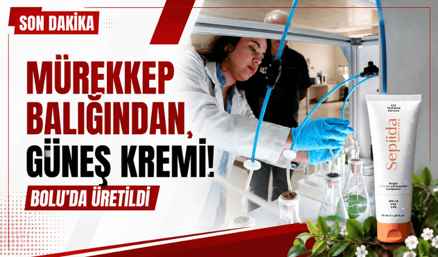 Bolu'da üretildi! Mürekkep balığından güneş kremi