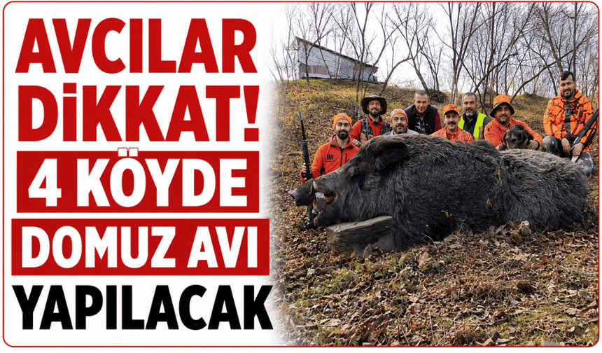 Düzce'de 4 köyde domuz sürek avı yapılacak
