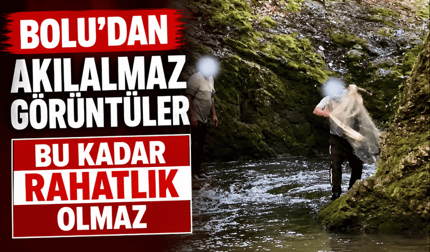 Akıl almaz görüntüler, yasak dinlemediler