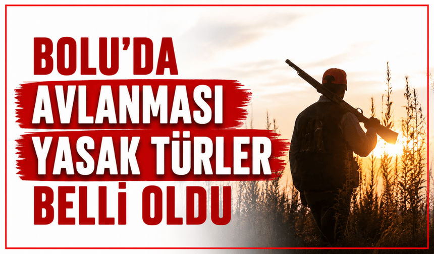 Bolu’da avlanması yasak türler belli oldu