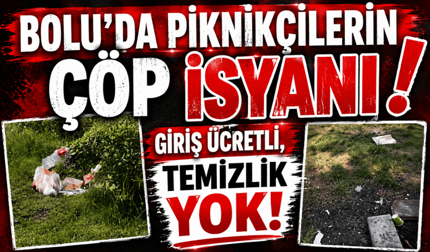 Bolu'da piknikçilerin çöp isyanı: Giriş ücretli, temizlik yok!