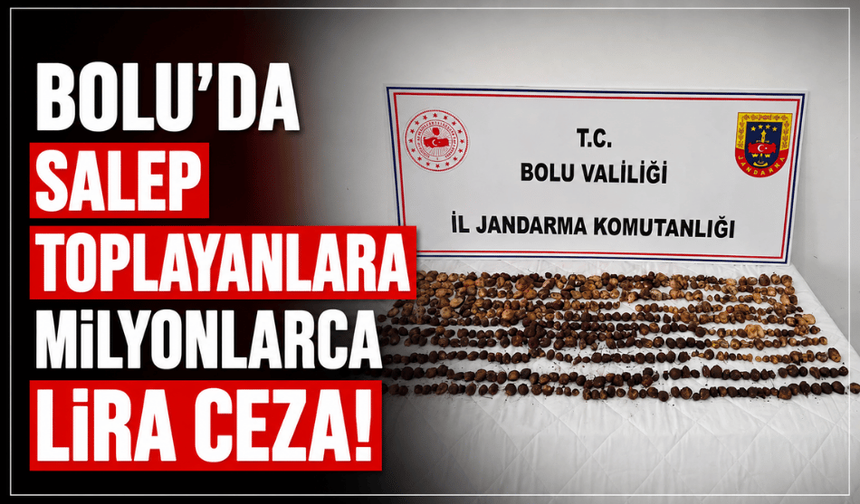 Bolu'da salep toplayanlara, milyonlarca lira ceza kesildi