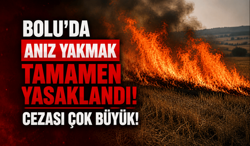 Bolu’da anız yakmak tamamen yasaklandı: dekar başına 698 lira ceza