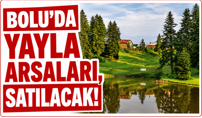 Gerede'de yayla arsaları satışa çıkıyor!