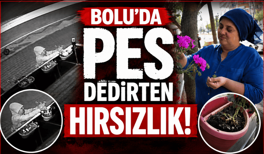 Çiçekler saniyeler içerisinde çalındı