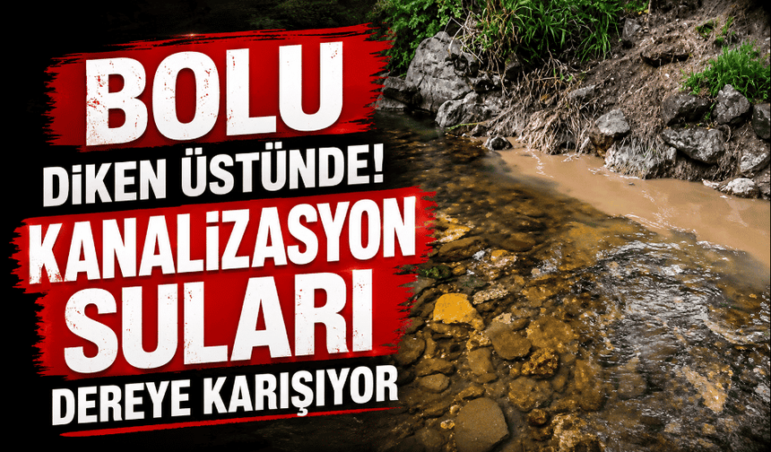 Diken üstündeyiz, kanalizasyon suları dereye karışıyor