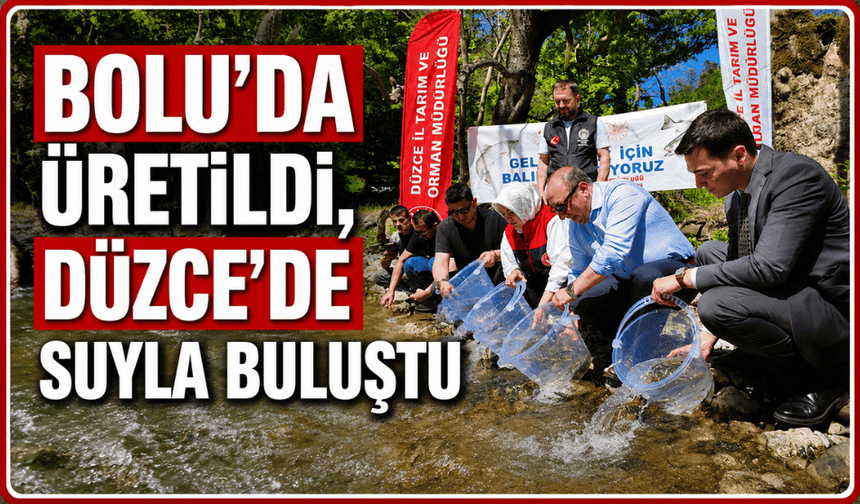 Bolu’da üretilen balıklar, Düzce’de suya salındı